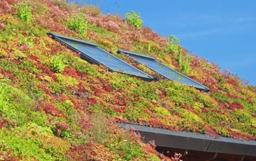Hertford living roof systems